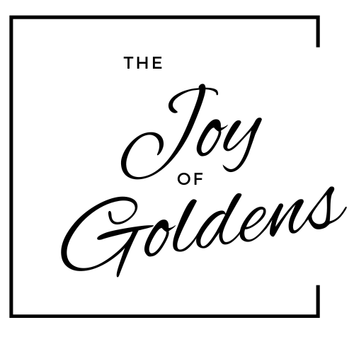 The Joy of Goldens, Kenosha Wisconsin Golden Retriever puppies