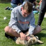 Golden Retriever Puppy enjoys tummy rubs--The Joy of Goldens