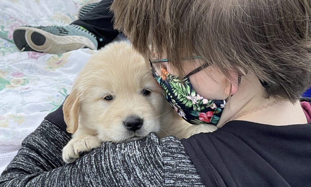 Golden Retriever Puppy Therapy--The Joy of Goldens